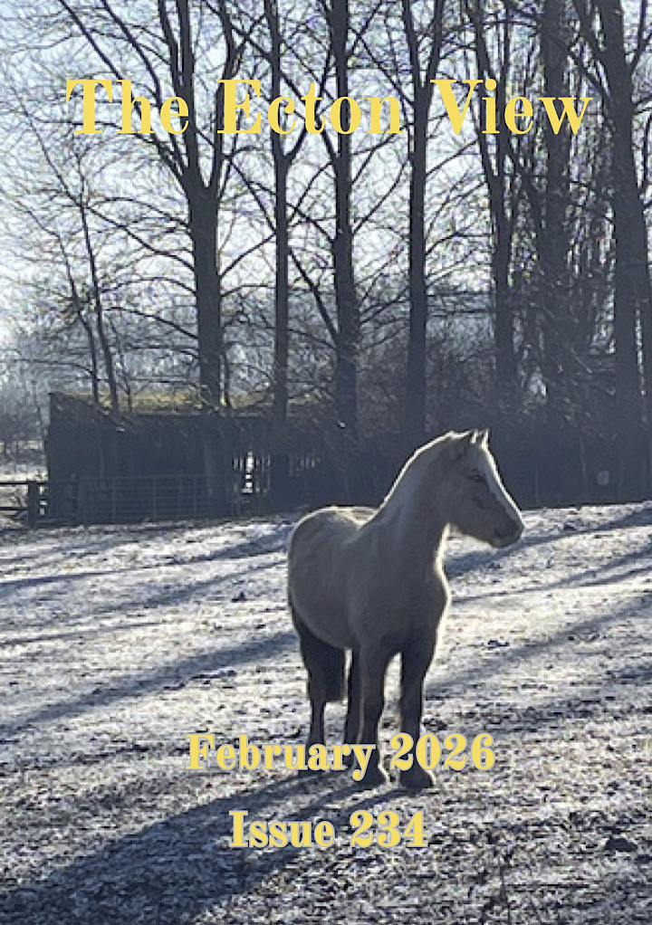 February 2026 village magazine preview